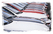 Click Here to Apply for an Auto Quote...